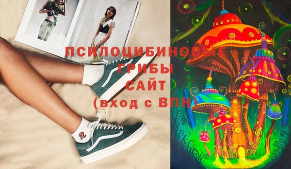 PSILOCYBIN Белокуриха