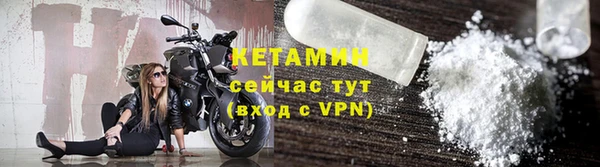 шишки Беломорск