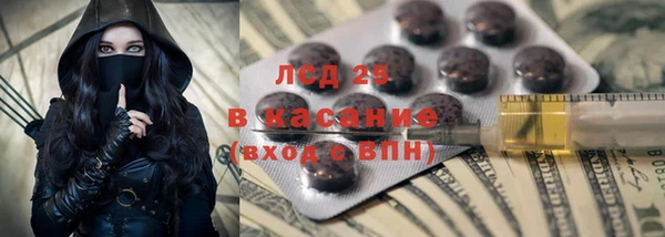 шишки Беломорск