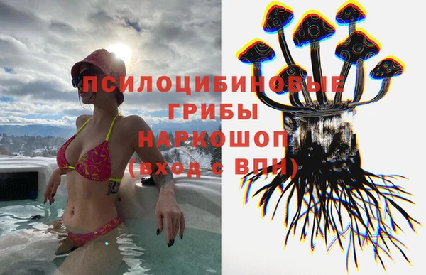 шишки Беломорск