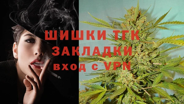 шишки Беломорск