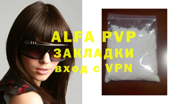 PSILOCYBIN Белокуриха