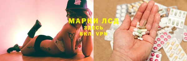PSILOCYBIN Белокуриха