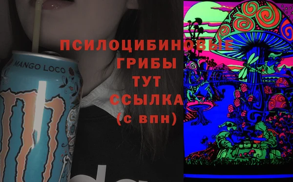 PSILOCYBIN Белокуриха