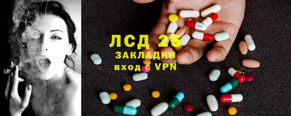 шишки Беломорск