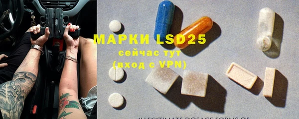 PSILOCYBIN Белокуриха